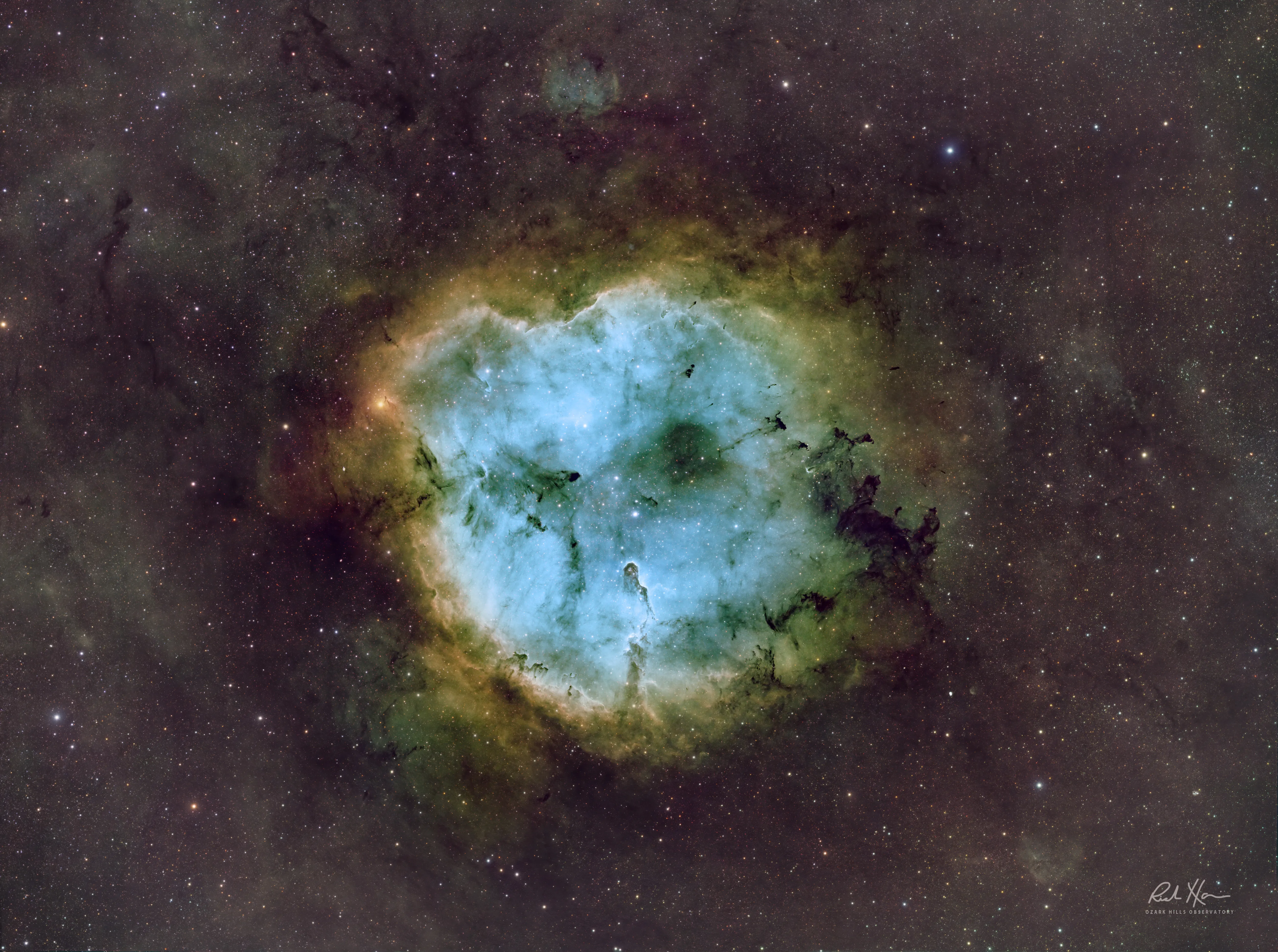 Entire region of Elephant's Trunk Nebula Rich Harris Astronomy