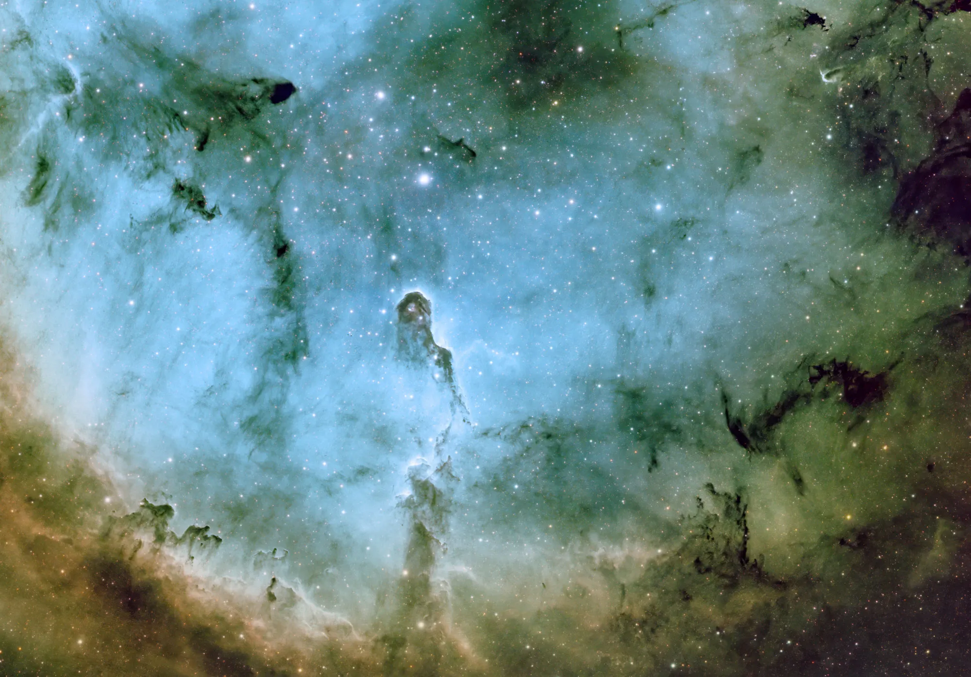IC 1396 - Elephant's Trunk Nebula main focus