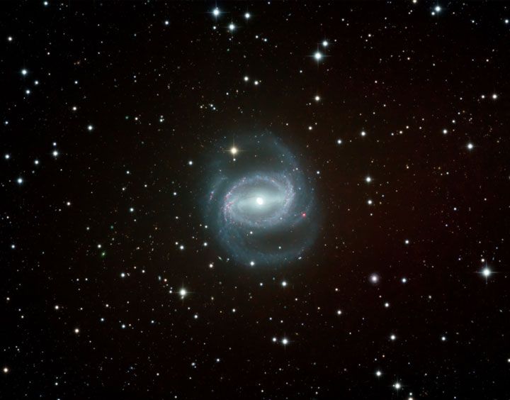 NGC 1433 Barred Spiral Galaxy